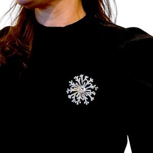 Elegant Silver Snowflake Brooch